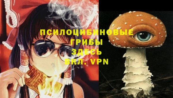 гидропоника Магадан